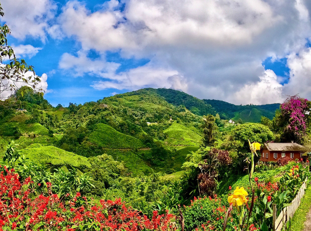 Escape the City: Top Family-Friendly Hill Stations in Asia