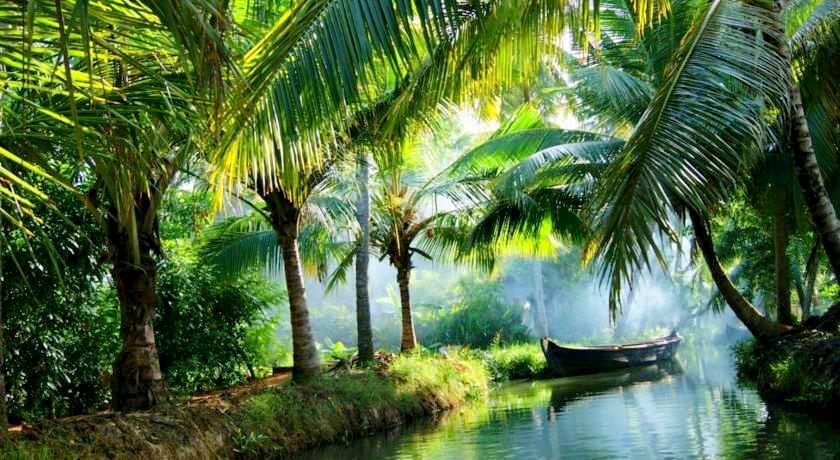 Find a new world in Kochi Kerala