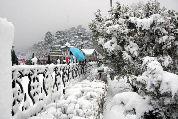 Best Spots to Explore in Shimla on Family Vacations